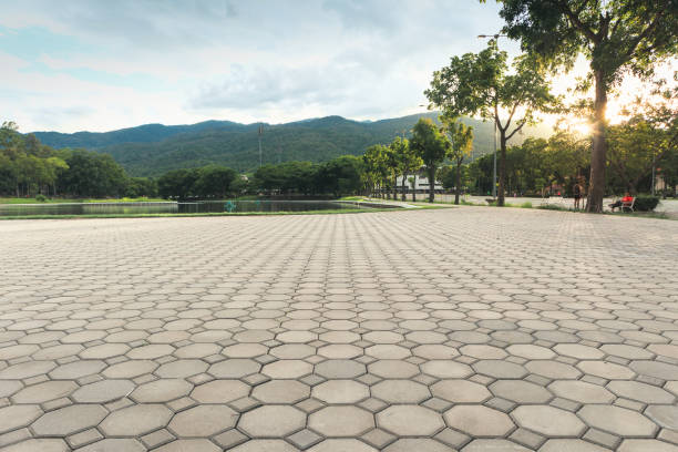 Best Local Driveway Pavers  in Lowes Island, VA